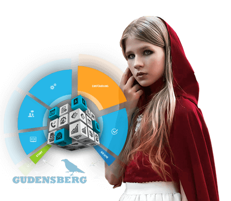 Stadt Gudensberg Case Study Tecart Crm Pro Titel