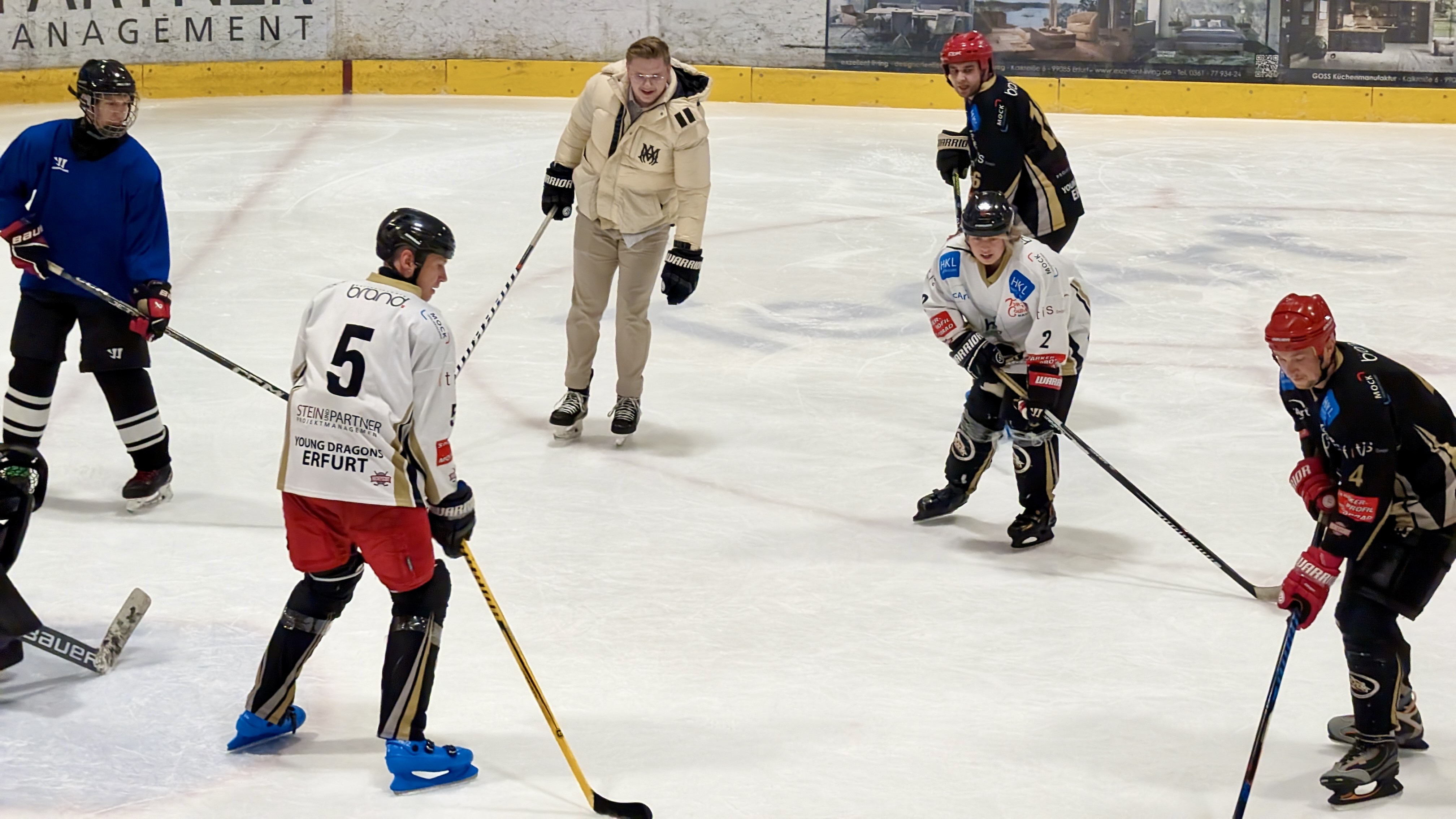 Teccis beim Eishockey spielen